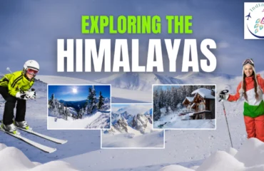 A group of trekkers from Mumbai standing against the snow-capped Himalayan peaks.